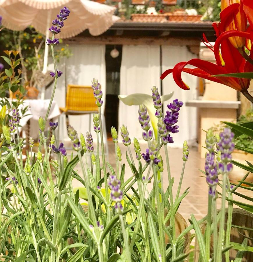 B&B La Vita è Bella Aci Trezza Extérieur photo